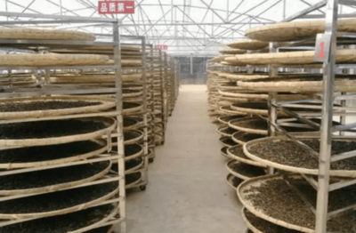 大圆普洱上线产品巡礼之 陈升号班章 品味高品质大树茶的真谛