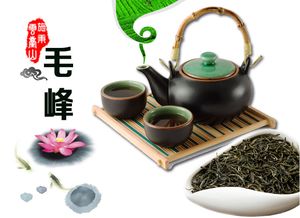 云上施秉·黔东南的绿色瑰宝 罐装施秉绿茶的品尝与文化韵味